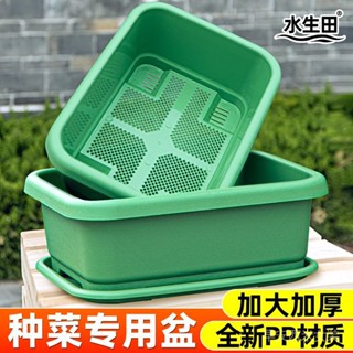 免運 種菜專用盆陽臺種菜盆大號韭菜香菜小香蔥種植箱長方形塑料盆花盆 育苗器 種菜神器 種植器 種菜機 種植箱 種菜 盆栽