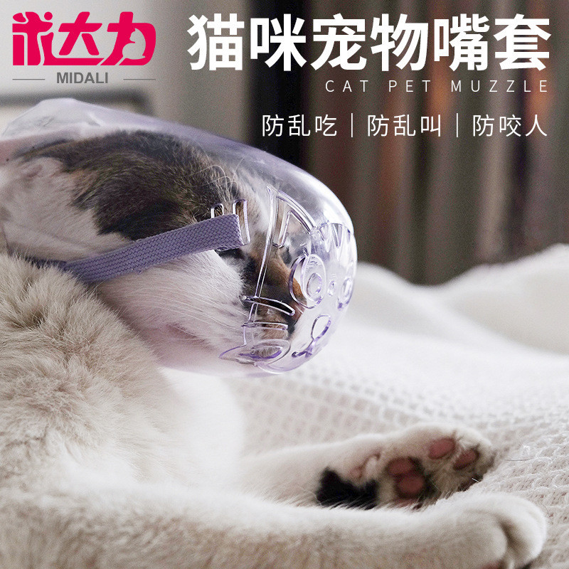 透明貓眼罩 貓咪防咬 頭套 洗貓 洗澡袋 貓咪項圈 寵物 寵物用品 狗狗 貓咪