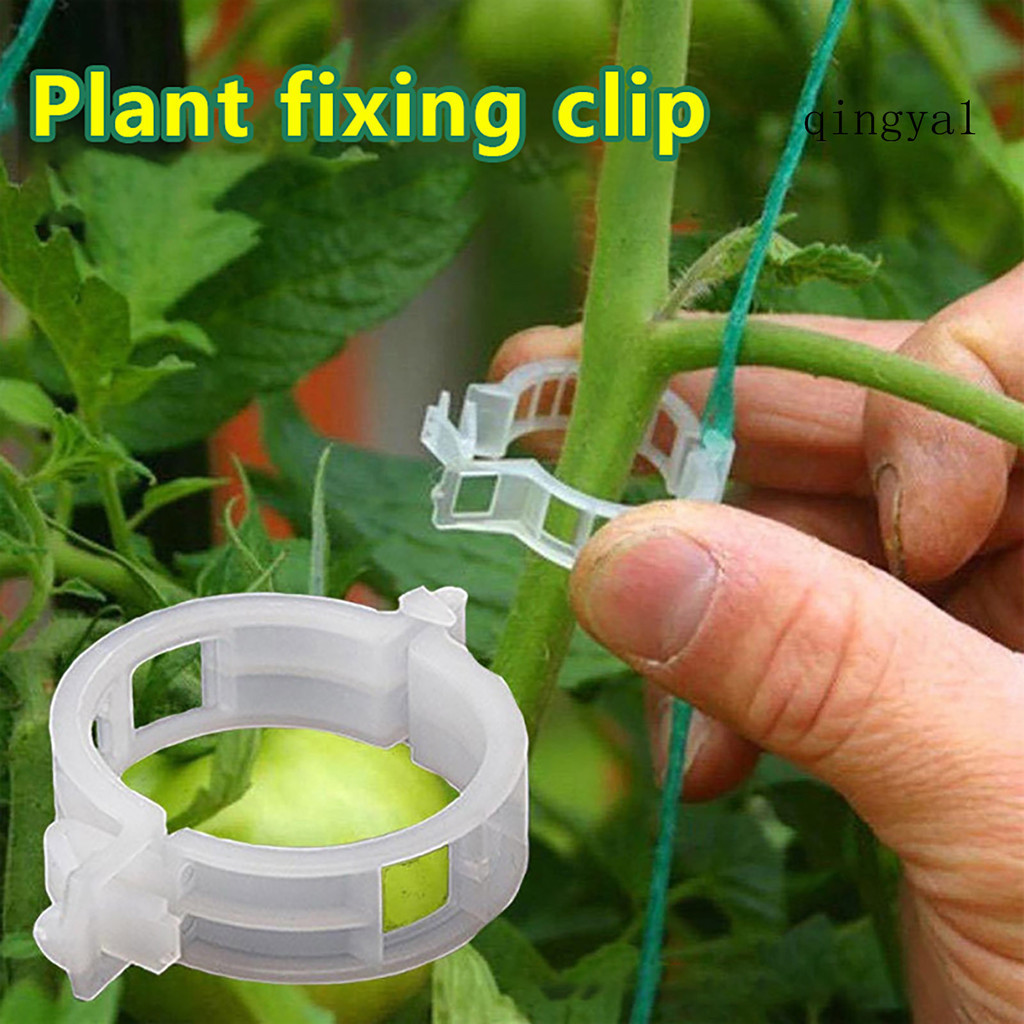 (園藝) 100/200/300 件植物支撐夾塑料白綠植物花園夾辣椒茄子固定器番茄夾固定夾易於使用的園藝工具
