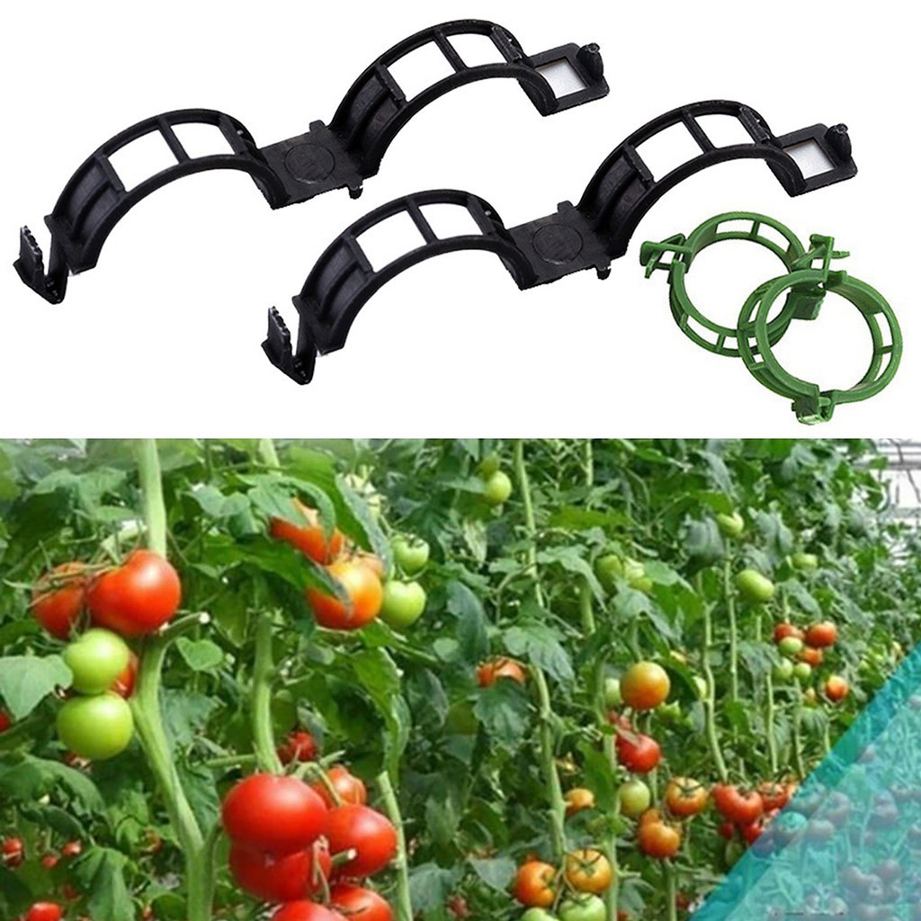 (FR) 50/100 件植物夾易於使用的塑料植物支撐夾透明番茄夾中空設計莖支撐夾用於垂直園藝攀緣植物