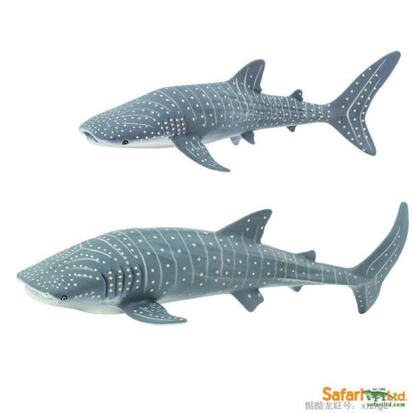 節日禮物美國Safari正品海洋生物鯨鯊模型 豆腐鯊玩偶大憨鯊玩具