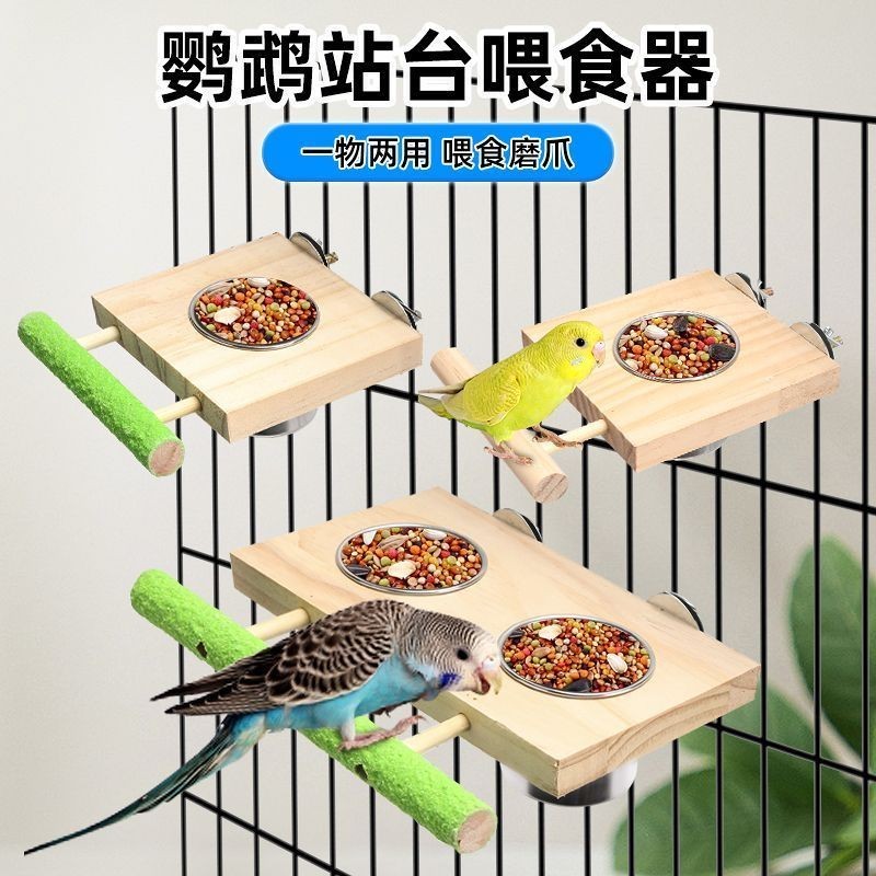 鸚鵡不鏽鋼鳥食杯磨砂站杆鳥食盒帶架飼料盒鳥籠配件小鳥用餵食器