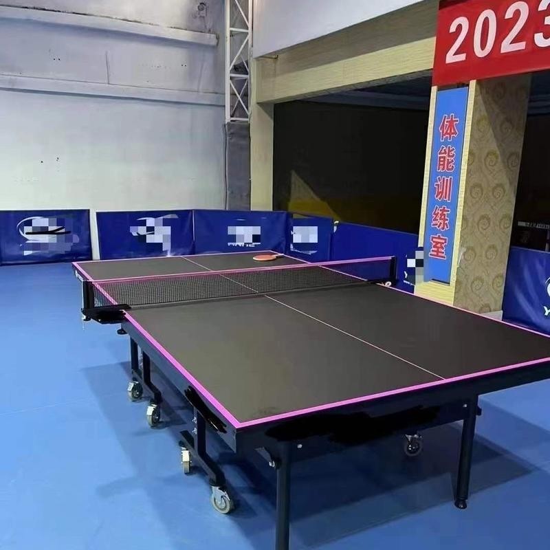 乒乓球桌 乒乓球台乒乓球桌家用比賽用151825mm面板納米準分子膚感面板