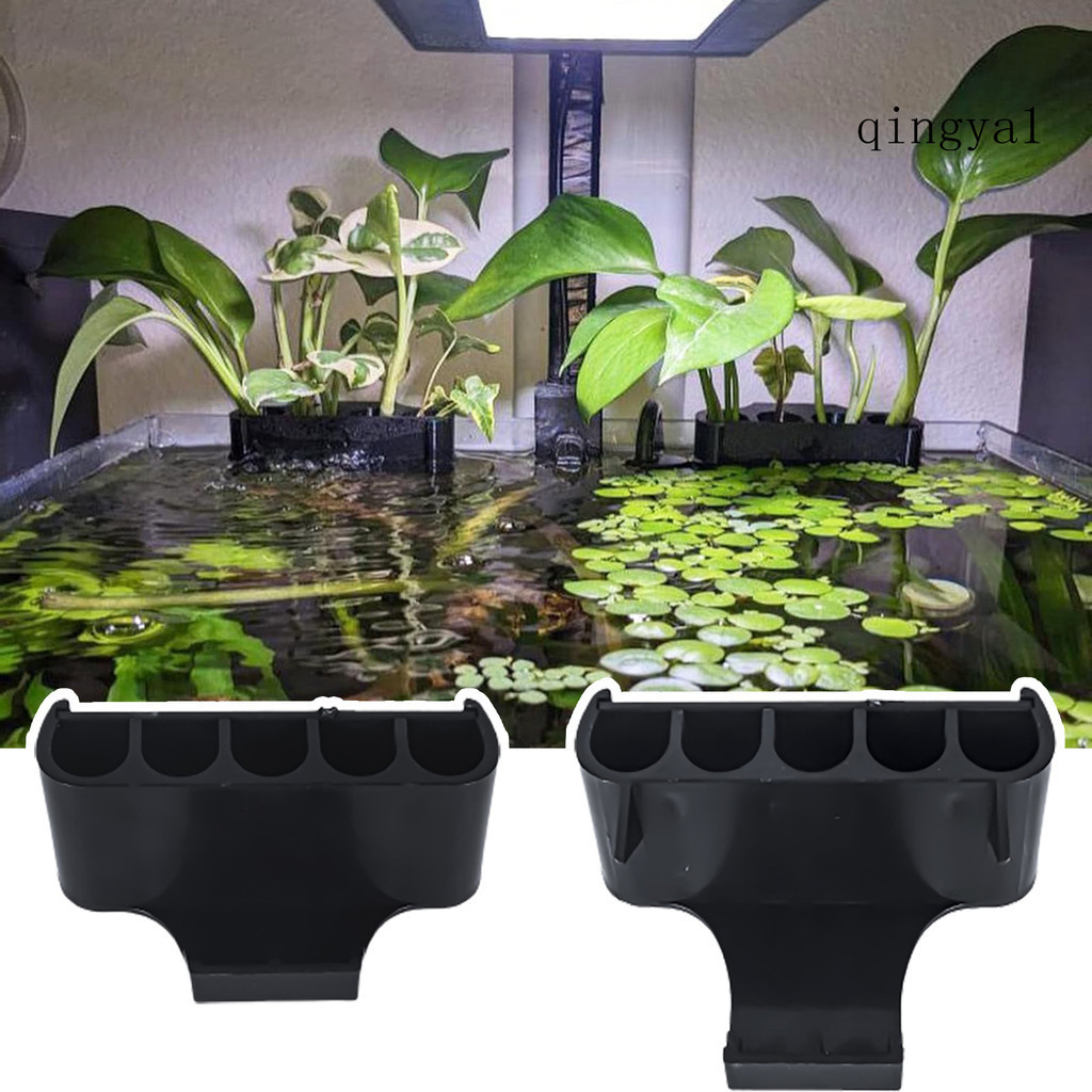 (園藝) 水培儲物架 5 孔魚缸植物支撐架,用於魚菜共生栽培 Aquascape 裝飾