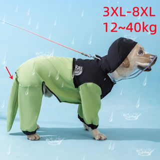 大狗狗雨衣 大狗防水寵物雨衣 透明連帽時尚戶外寵物衣服 金毛 拉布拉多 邊境牧羊犬衣服 寵物衣服 狗狗雨衣 大狗雨衣