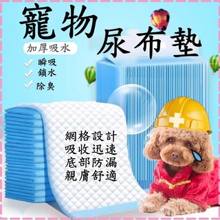寵物尿布 尿布 尿布墊 狗狗尿布墊 尿布墊 貓咪尿墊 寵物尿墊 尿墊 尿布 狗尿布 尿布墊寵物 狗尿布墊