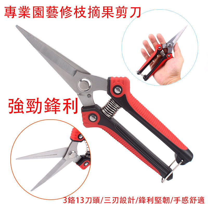 【現貨▪️隔日達】🛒不鏽鋼修枝剪 尖頭樹剪 高枝剪 果樹剪 樹枝剪刀 園藝剪刀 芽切剪 花剪 樹枝剪 剪定鋏 檳榔剪刀