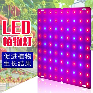 熱銷量子闆植物燈LED紅藍光譜植物生長燈室內育苗種植燈