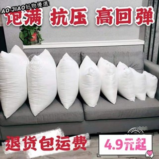 🔥臺灣出貨🔥枕心 抱枕心 抱枕 枕頭 多種尺寸 水洗 枕芯 可客製尺寸 枕心 抱枕心 抱枕 枕頭 NTFO
