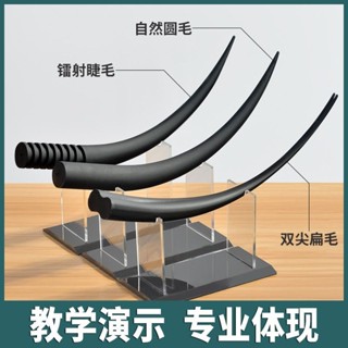 【熱賣】美睫店展示擺件道具嫁接假睫毛模型培訓學校模具練習教學演示工具嫁接睫毛