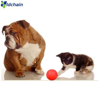 新的! 狗防咬球耐用寵物狗咀嚼球玩具寵物訓練用品