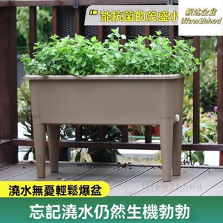 😊免運~陽臺種植箱 2025新款種植盆 高腳長方形花盆 樓頂花箱 種菜神器蔬菜菜