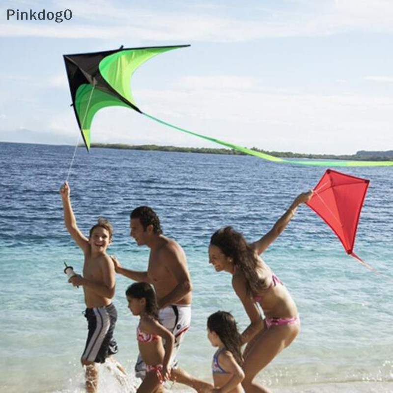 Pi 120cm 巨型風箏線特技兒童風箏玩具風箏放飛長尾戶外風箏 og