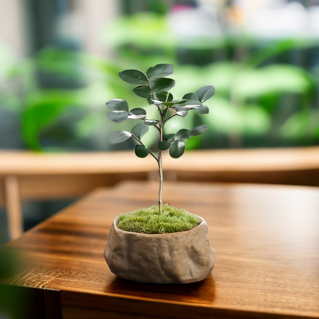 達摩九里香盆景室內綠植迷你小盆栽辦公室桌面辦公桌四季長青花