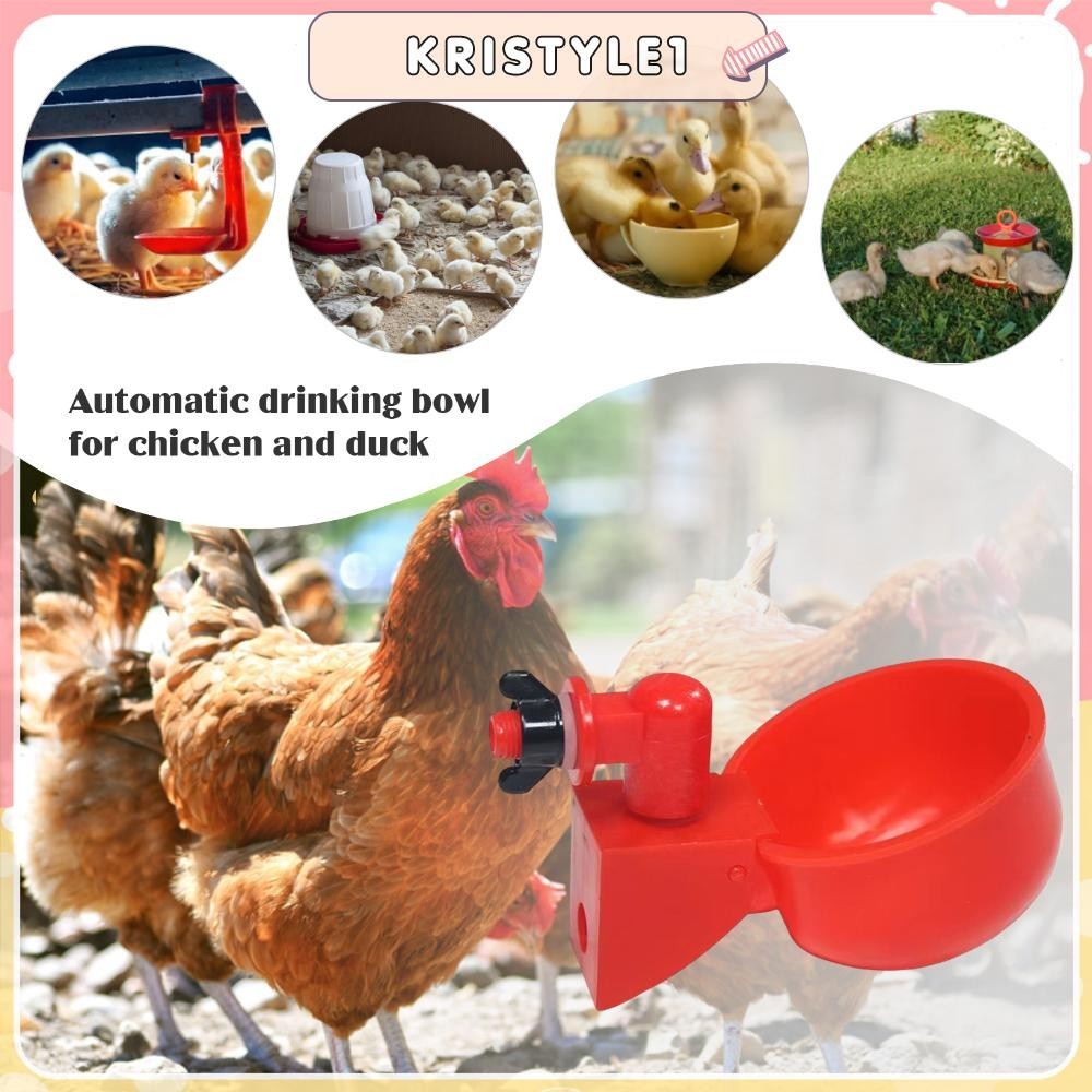 (6pcs)(紅色)家禽自動飲水碗 自動雞飲水機雞飲水杯雞飲水器