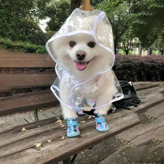 狗狗雨衣透明塑料寵物雨衣中小型遛狗衣服雨天