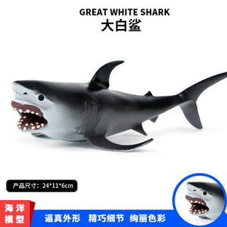 ★限時熱銷★實心模擬海洋生物動物鯊魚玩具模型巨齒鯊 食人鯊 大白鯊模型擺件兒童禮物
