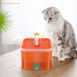 GUADALUPE貓飲水器貓自動USB帶循環過濾器寵物貓餵食器