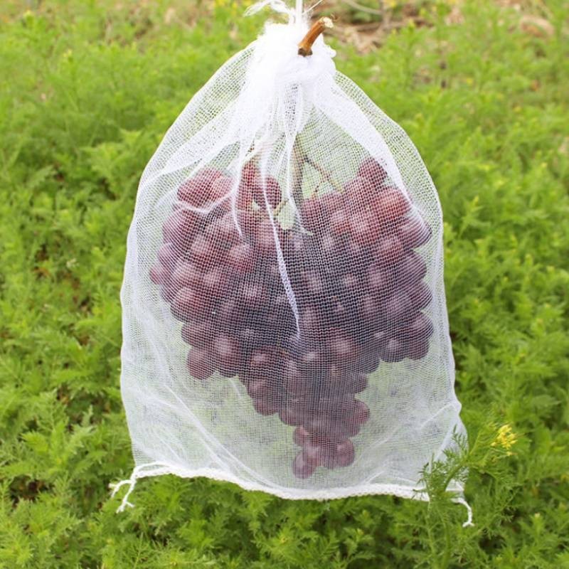 果樹防蟲網袋防鳥紗網袋保護葡萄袋無花果芭樂草莓套袋桃子套袋