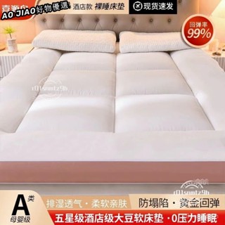 🔥臺灣出貨🔥二代加厚加重羽絲絨床墊 僅此一家 厚度10cm 學生床墊 宿捨床墊 羽絨 露營 交換禮物 客房 AZPZ