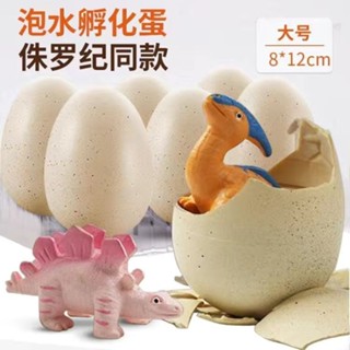 【臺灣出貨】恐龍蛋 孵化蛋 泡大 膨脹 變形 模擬 動物 創意 禮物 泡水 變大 兒童 小玩具 蛋