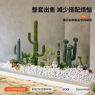 室內擺件 室內裝飾 模擬仙人掌 造景 球形熱帶植物 盆栽 櫥窗 樓梯下室內大型景觀裝飾擺件