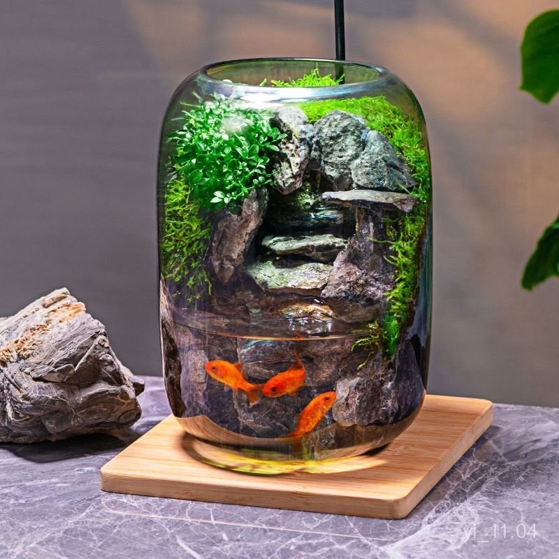 石上清泉流水款養魚缸真植物苔蘚微景觀生態瓶辦公室成品室內送禮
