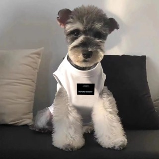 【Furry baby】寵物衣服 春夏薄款 狗狗背心 寵物背心 ins簡約背心 小型貓犬通用 透氣衣服 寵物服飾 貓背心