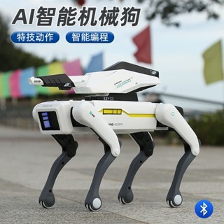 兒童機器狗玩具創意大男童小學生幼兒園2025禮品男孩生日禮物
