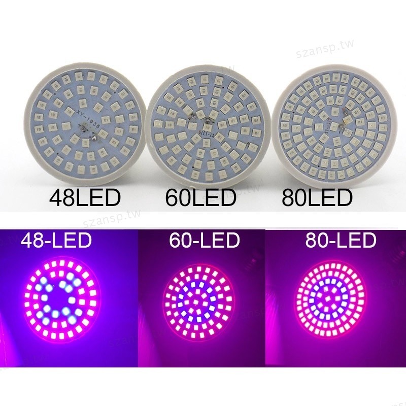 全光譜室內花卉照明 Led Led 植物生長燈植物植物燈燈泡 E27 植物燈水培帳篷