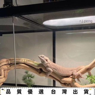 【優選好物】造景天然霸王藤木熱帶鬃獅蜥蜴守宮睫角攀爬曬臺自然枯木