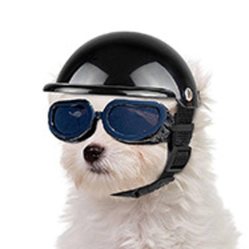 寵物頭盔新款機車安全帽狗狗貓咪配飾寵物玩具帽子頭飾
