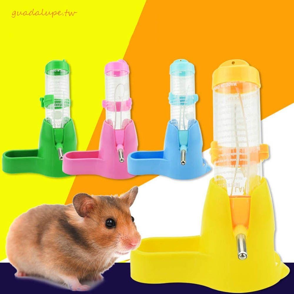 GUADALUPE倉鼠水瓶小有基礎豚鼠刺蝟兔子水瓶