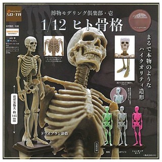 現貨 日本 SO-TA 博物模型俱樂部 扭蛋 | 壹 人骨篇 可動轉蛋 人體 骨骼 骨頭 模型 1/12 螢光 日本進口