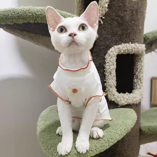 【PetBaby寵物精靈】寵物衣服貓咪衣服夏季薄款背心防曬衣服透氣防掉毛夏天超薄夏裝