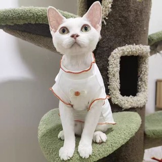 【PetBaby寵物精靈】寵物衣服貓咪衣服夏季薄款背心防晒衣服透氣防掉毛夏天超薄夏裝