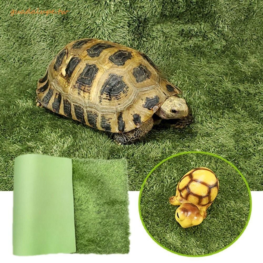 GUADALUPE爬行動物地毯,保濕仿真青蛙烏龜墊,綠色矩形/正方形可折疊人造草墊爬行動物盒子裝飾