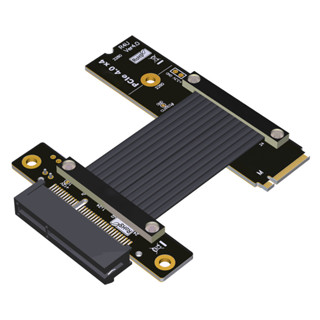 Adt-link PCI-E 4.0 x1/x4 轉 M.2 SSD 延長線高速 16G/bps 64G/bps 適用於