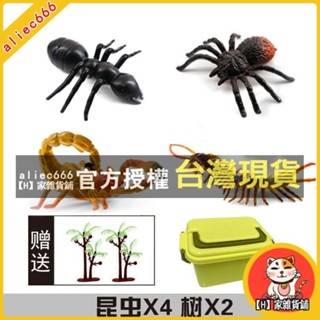 【H】家雜貨鋪 昆蟲玩具模擬動物套餐海底動物模型螞蟻蜘蛛蜜蜂軟膠兒童恐龍玩具
