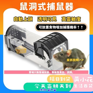 🚀蝦皮隔日配達🔥滅鼠神器 捕鼠籠 老鼠籠 捕鼠器 捕鼠瓶 捕鼠 老鼠夾 撲鼠器 滅鼠 自動捕鼠夾捕鼠神器 捕鼠籠子