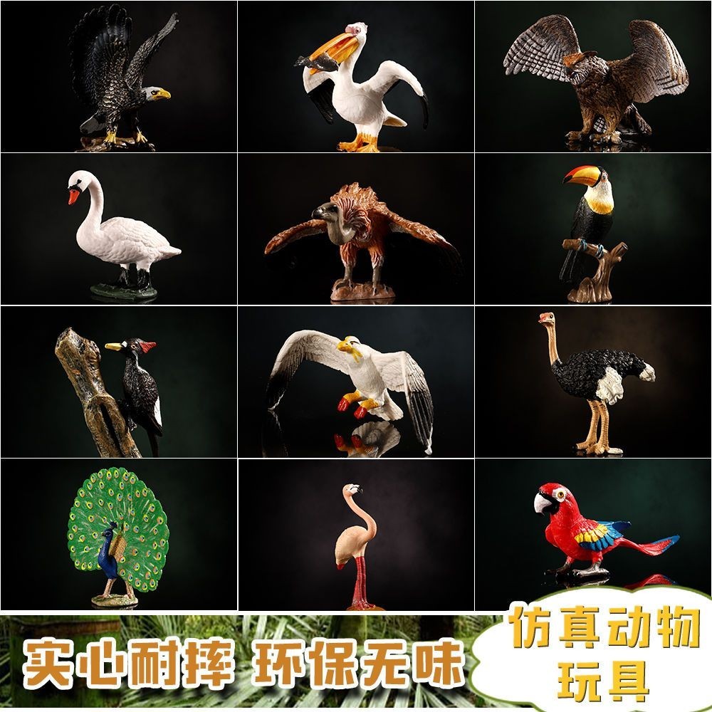 🍄仿真動物模型 孔雀 鸚鵡 白鶴動物模型 大號 飛禽鳥類系列 兒童動物園玩具
