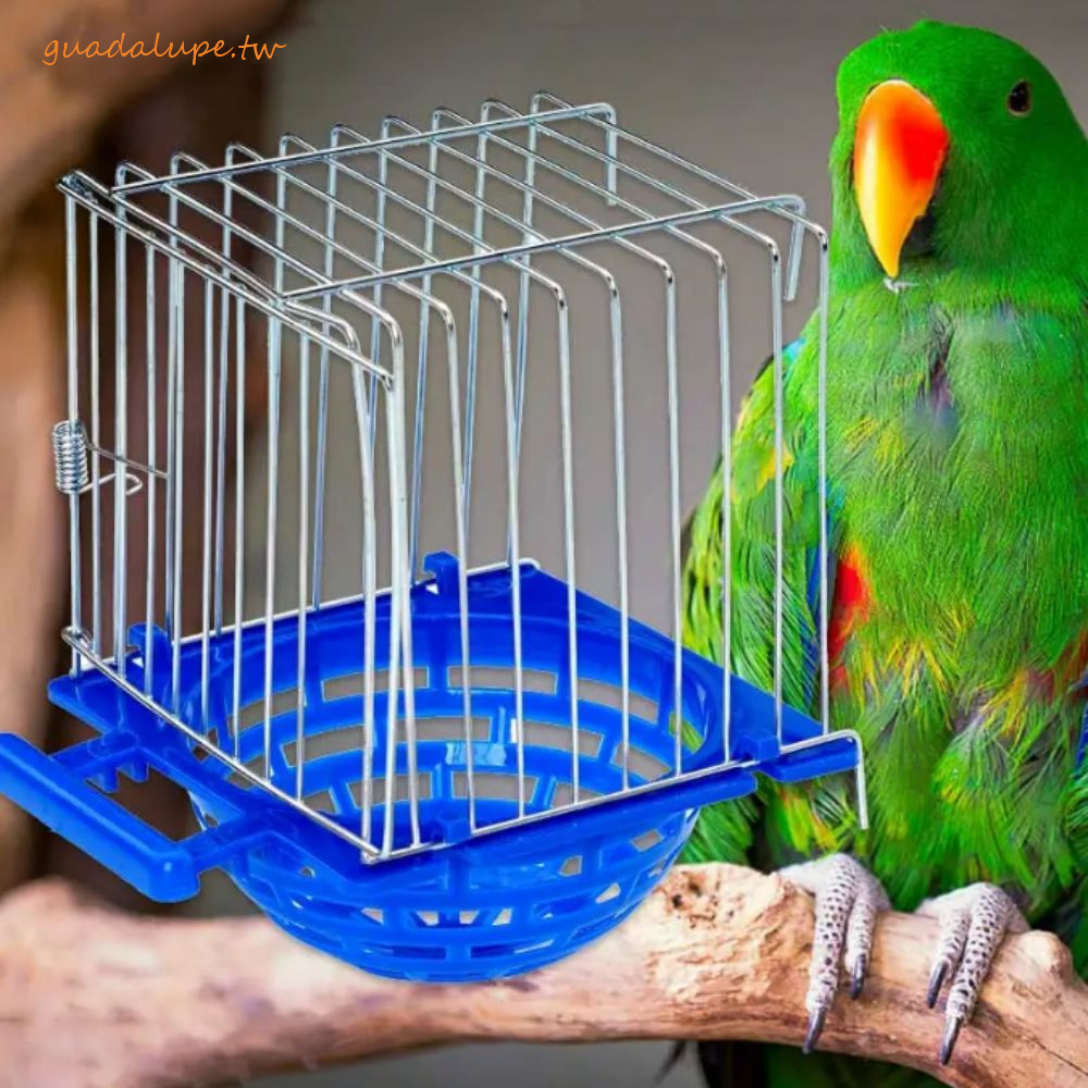 GUADALUPE鸚鵡築巢盆,鸚鵡孵化巢可拆卸迷你養鳥箱,鏤空金屬/塑料鳥類繁殖小屋巢