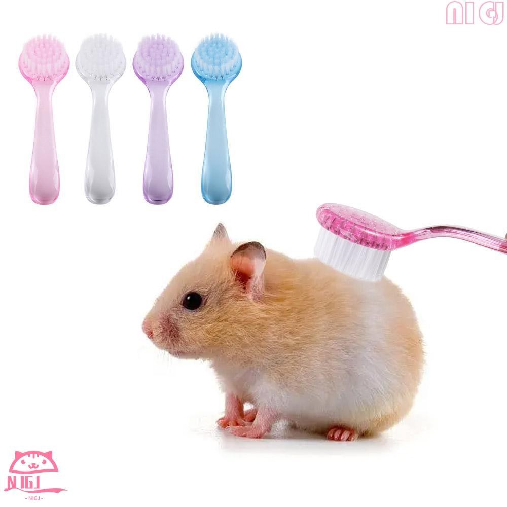 NIGJ小倉鼠刷,軟長頭髮刺蝟洗澡刷,柔軟的毛刷圓頭塑料倉鼠清潔刷金熊清潔梳子對於刺蝟