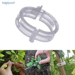 Bdgf 100 件塑膠植物夾用於攀爬植物透明植物固定夾番茄格子夾植物支撐夾固定夾花園 TW