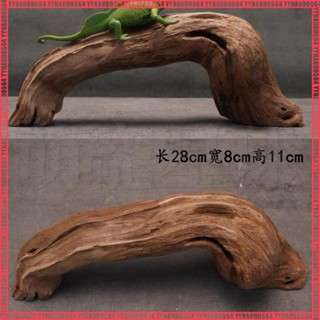 【萌寵星球✨】爬寵攀爬木 沉木 鬃獅蜥曬臺 捷角 守宮 蛇躲避 飼養箱造景 天然枯木 樹枝沉木 魚缸沉木 魚缸造景