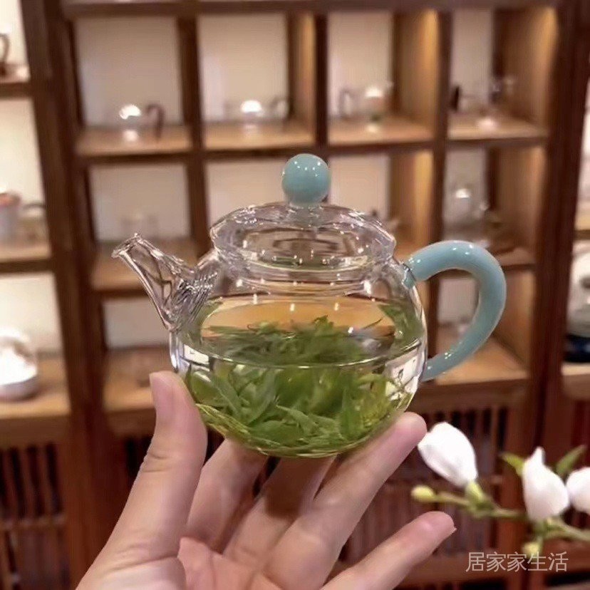 玻璃茶壺高硼硅透明玻璃傢用迷你小小泡茶壺功夫茶具套裝泡茶壺