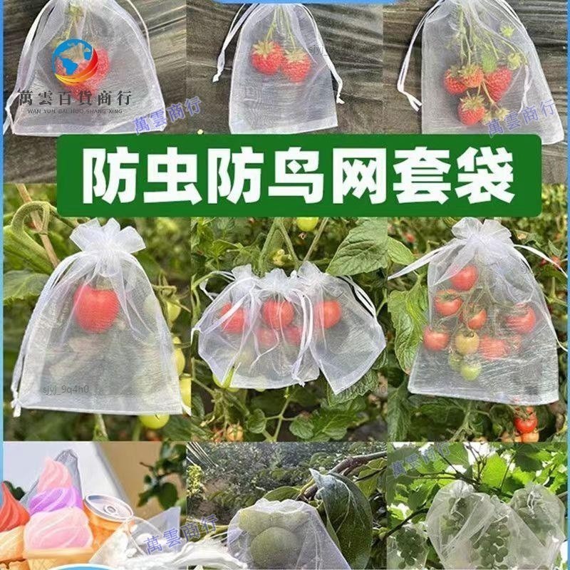 限時特惠✨紗網袋#雙拉繩紗袋【100入／】雪紗袋 白色紗袋 水果套袋 水果防蟲 禮品袋 防蟲套 婚禮 水果網袋 小物