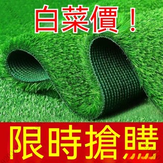模擬草坪地毯 幼稚園草坪墊子 人工戶外假草坪 人造塑膠草皮 陽臺裝飾