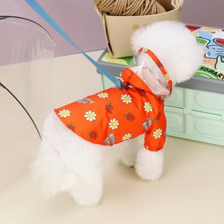 【現貨速發】 寵物狗狗衣服 兩腿雨衣防水服 小型犬泰迪比熊博美小狗雨天遛狗防髒 QYB5