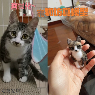 臺灣出貨【寵物模型客製化】手繪狗狗 貓咪 寵物 寵物成品紀念模型 手工羊毛氈diy模擬貓狗狗汽車擺件照片全身 寵物紀念